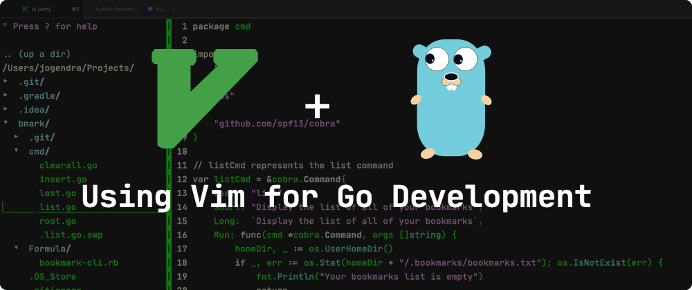 Go dev. Vim-go. What is vim. Go developer